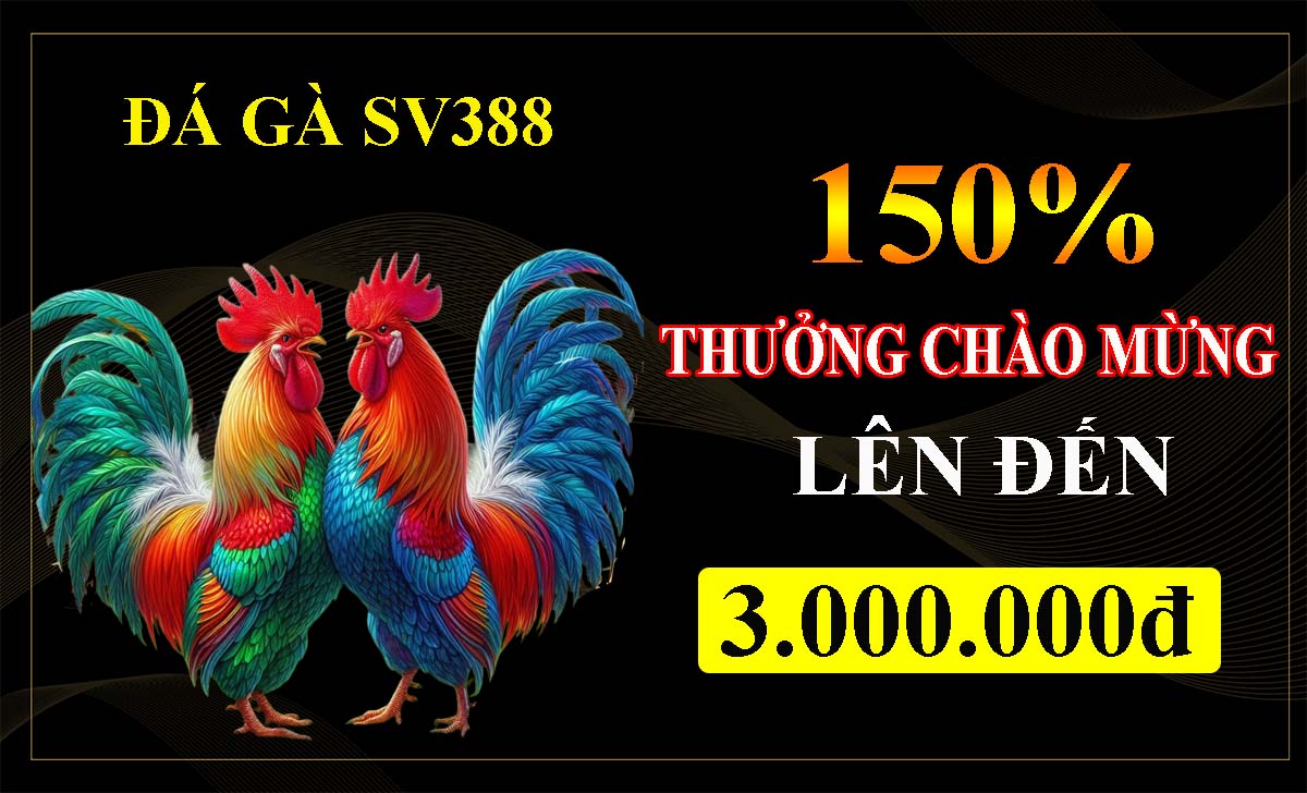 150% thưởng chào mừng sảnh Đá gà SV388